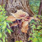 Mushrooms on a Tree 11" x 15"