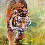 On The Prowl - Sold