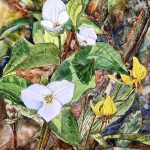 Gifts of Spring 11"x15"