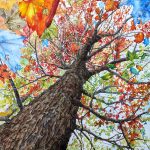 Elements of Earth & Sky 22"x30"