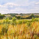 Fields of Gold - 11"x14"